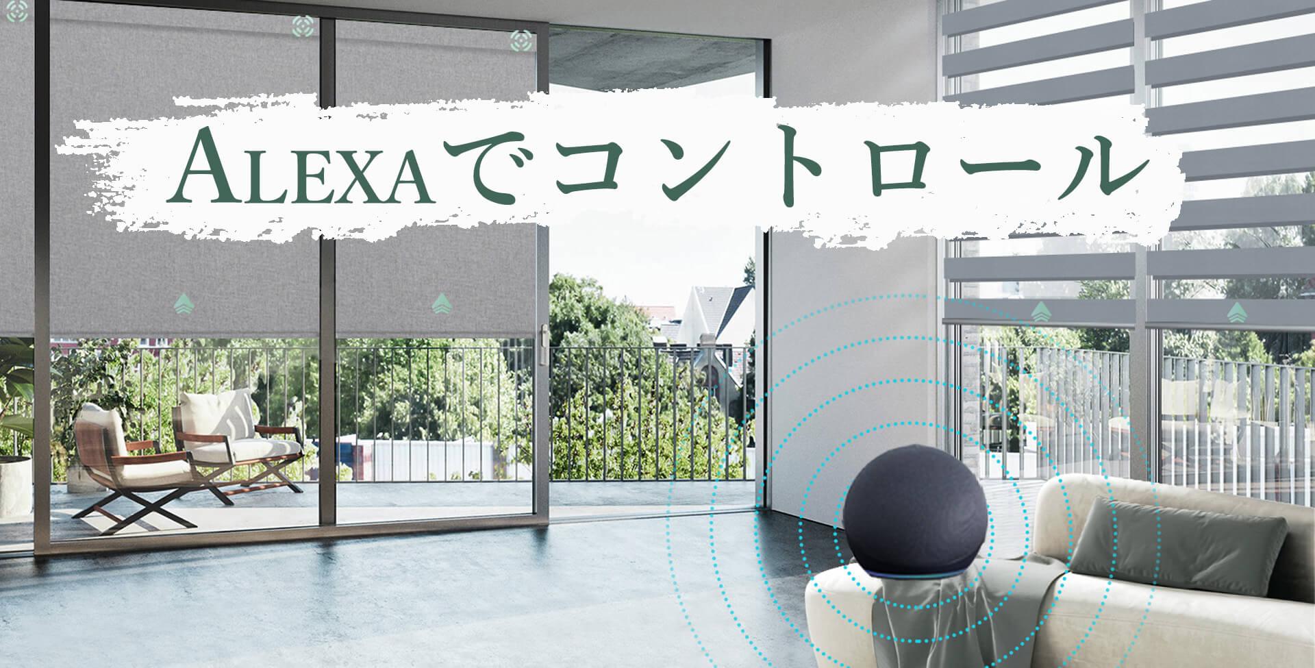 Yoolax 電動ロールカーテン Matter対応 自動開閉 遮光ロール